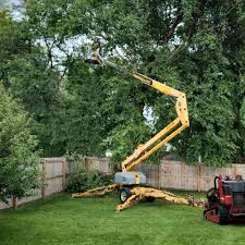 Tree and Shrub Care in Mays Landing, NJ